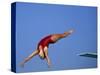 Women Diver Flying Through the Air-null-Stretched Canvas