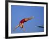 Women Diver Flying Through the Air-null-Framed Photographic Print