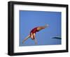 Women Diver Flying Through the Air-null-Framed Photographic Print