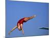 Women Diver Flying Through the Air-null-Mounted Photographic Print