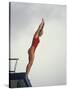 Women Diver Preparing to Jump Off the Platform, California, USA-Paul Sutton-Stretched Canvas