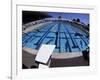 Women Diving into the Pool to Start a Swimming Race-Steven Sutton-Framed Photographic Print