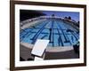 Women Diving into the Pool to Start a Swimming Race-Steven Sutton-Framed Photographic Print