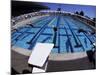 Women Diving into the Pool to Start a Swimming Race-Steven Sutton-Mounted Photographic Print