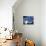 Women Diving into the Pool to Start a Swimming Race-Steven Sutton-Photographic Print displayed on a wall