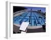 Women Diving into the Pool to Start a Swimming Race-Steven Sutton-Framed Photographic Print