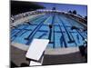 Women Diving into the Pool to Start a Swimming Race-Steven Sutton-Mounted Photographic Print