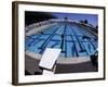 Women Diving into the Pool to Start a Swimming Race-Steven Sutton-Framed Photographic Print