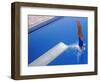Women Diving into the Pool-null-Framed Photographic Print