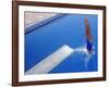 Women Diving into the Pool-null-Framed Photographic Print