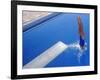 Women Diving into the Pool-null-Framed Photographic Print