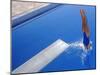 Women Diving into the Pool-null-Mounted Photographic Print