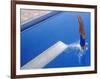 Women Diving into the Pool-null-Framed Photographic Print