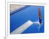 Women Diving into the Pool-null-Framed Photographic Print