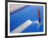 Women Diving into the Pool-null-Framed Photographic Print