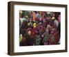 Women from Villages Crowd the Street at the Camel Fair, Pushkar, Rajasthan State, India-Jeremy Bright-Framed Photographic Print