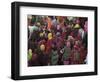 Women from Villages Crowd the Street at the Camel Fair, Pushkar, Rajasthan State, India-Jeremy Bright-Framed Photographic Print