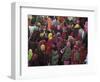 Women from Villages Crowd the Street at the Camel Fair, Pushkar, Rajasthan State, India-Jeremy Bright-Framed Photographic Print