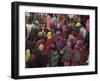 Women from Villages Crowd the Street at the Camel Fair, Pushkar, Rajasthan State, India-Jeremy Bright-Framed Photographic Print