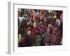 Women from Villages Crowd the Street at the Camel Fair, Pushkar, Rajasthan State, India-Jeremy Bright-Framed Photographic Print