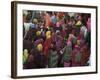 Women from Villages Crowd the Street at the Camel Fair, Pushkar, Rajasthan State, India-Jeremy Bright-Framed Photographic Print