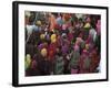 Women from Villages Crowd the Street at the Camel Fair, Pushkar, Rajasthan State, India-Jeremy Bright-Framed Photographic Print