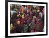 Women from Villages Crowd the Street at the Camel Fair, Pushkar, Rajasthan State, India-Jeremy Bright-Framed Photographic Print