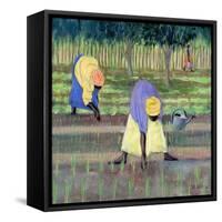 Women Gardening, 2005-Tilly Willis-Framed Stretched Canvas