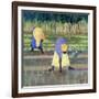 Women Gardening, 2005-Tilly Willis-Framed Giclee Print