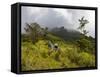 Women Hiking on Trail. Mt. Pelee, Martinique, French Antilles-Scott T. Smith-Framed Stretched Canvas