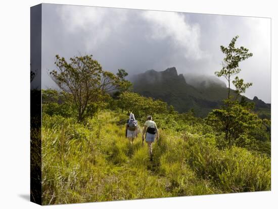 Women Hiking on Trail. Mt. Pelee, Martinique, French Antilles-Scott T. Smith-Stretched Canvas