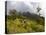 Women Hiking on Trail. Mt. Pelee, Martinique, French Antilles-Scott T. Smith-Stretched Canvas