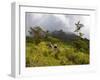 Women Hiking on Trail. Mt. Pelee, Martinique, French Antilles-Scott T. Smith-Framed Photographic Print