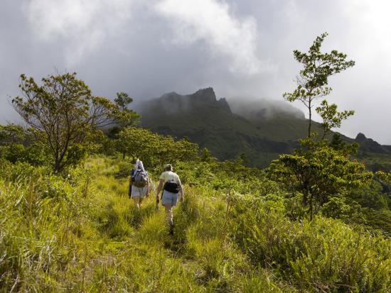 'Women Hiking on Trail. Mt. Pelee, Martinique, French Antilles ... - Women Hiking On Trail Mt Pelee Martinique French Antilles U L P873IR0 'Women Hiking on Trail. Mt. Pelee, Martinique, French Antilles ... - Women Hiking On Trail Mt Pelee Martinique French Antilles U L P873IR0