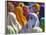 Women in Colorful Saris Gather Together, Jhalawar, Rajasthan, India-Keren Su-Framed Photographic Print