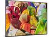 Women in Colorful Saris Gather Together, Jhalawar, Rajasthan, India-Keren Su-Mounted Photographic Print