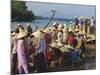 Women in Conical Hats at the Fish Market by the Thu Bon River in Hoi An, Indochina-Robert Francis-Mounted Photographic Print