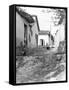 Women in Tehuantepec, Mexico, 1929-Tina Modotti-Framed Stretched Canvas