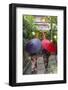 Women in traditional dress with umbrellas walking through Kyoto, Japan-Peter Adams-Framed Photographic Print