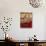 Women Knotting Berber Carpet on Loom, Morocco-Merrill Images-Stretched Canvas displayed on a wall