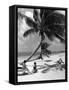 Women Lounge under a Coconut Palm at Crandon Park Beach, Key Biscayne, Florida, 1955-null-Framed Stretched Canvas