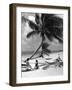 Women Lounge under a Coconut Palm at Crandon Park Beach, Key Biscayne, Florida, 1955-null-Framed Photographic Print