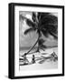 Women Lounge under a Coconut Palm at Crandon Park Beach, Key Biscayne, Florida, 1955-null-Framed Photographic Print