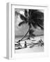 Women Lounge under a Coconut Palm at Crandon Park Beach, Key Biscayne, Florida, 1955-null-Framed Photographic Print