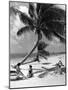 Women Lounge under a Coconut Palm at Crandon Park Beach, Key Biscayne, Florida, 1955-null-Mounted Photographic Print