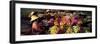 Women Market Traders in Boats Laden with Fruit and Flowers, Thailand-Gavin Hellier-Framed Photographic Print