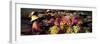 Women Market Traders in Boats Laden with Fruit and Flowers, Thailand-Gavin Hellier-Framed Photographic Print