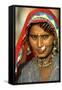 Women of Semi-Nomadic Groups, Rajasthan, Pushkar, India-David Noyes-Framed Stretched Canvas