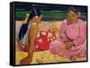 Women of Tahiti, on the Beach, 1891-Paul Gauguin-Framed Stretched Canvas