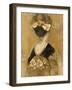 Women of the World V-Albena Hristova-Framed Art Print